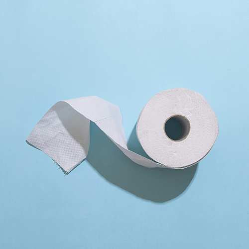 toilet-roll