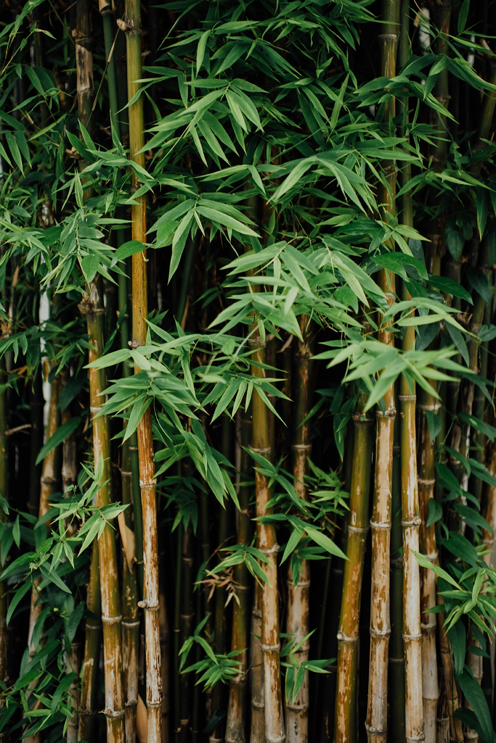 eco-friendly-products